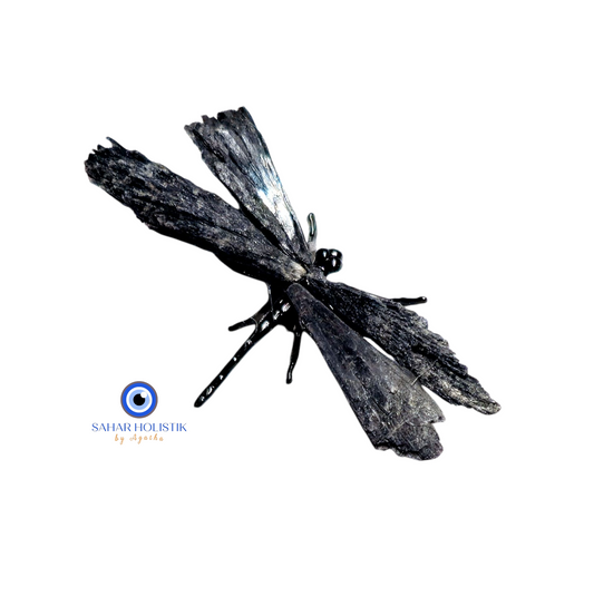 Libélula de Cianita Negra