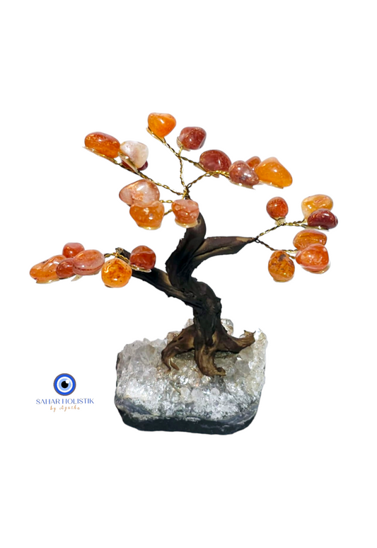 Arbol de Cornalina